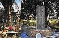 tour-japanese-village-ayutthaya