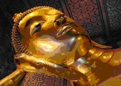 tour-wat-pra-chetupol-vimol-mangklaram-bangkok