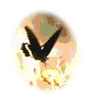 tour history miscelleneous chachoengsao 2