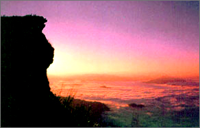 tour-phucheefa-chiang-rai