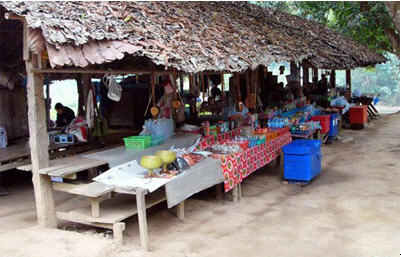 ทัวร์ บ้านน้ำเพียงดิน แม่ฮ่องสอน tour ban nam pieng din mae hong son