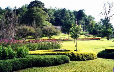 ทัวร์ พระตำหนักปางตอง แม่ฮ่องสอน tour pangtong palace mae hong son 3