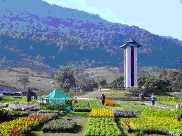 tour-flower-center-5-nakhon-nayok