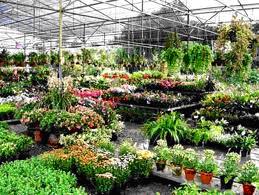 tour-flower-center-7-nakhon-nayok