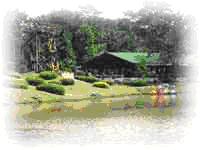 tour-nong-nooch-tropical-garden-prachin-buri