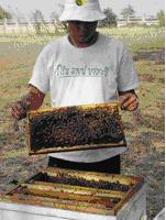 tour-bee-farm-1-saraburi