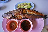 ปลาเผาต้องสุรชัยปลาเผา สุพรรณบุรี surachai-fish-burn