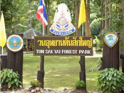 ทัวร์ วนอุทยานสักใหญ่ จังหวัดอุตรดิตถ์ sak yai national park uttaradit