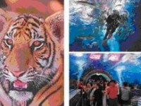 tour-chawak-lake-suphan-buri