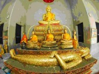 tour-matcha-national-park-3-suphan-buri